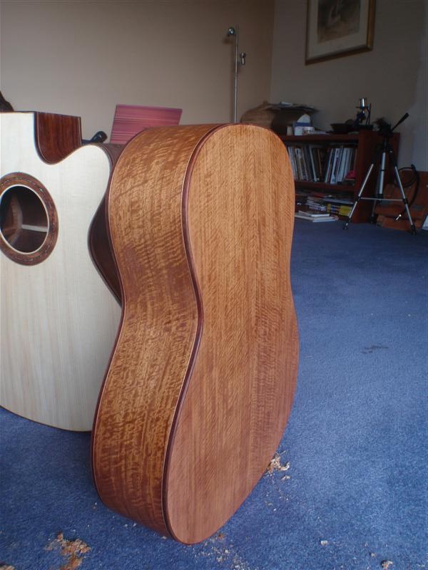 Narra Hauser 004 (Custom).JPG