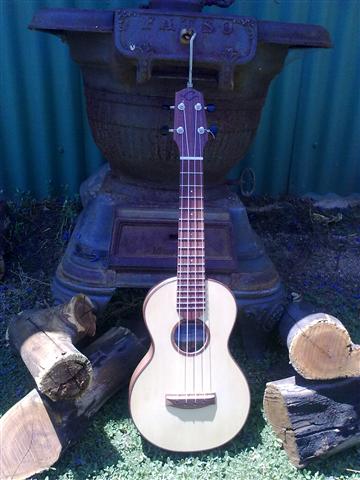 Fire & Fingerboard.jpg