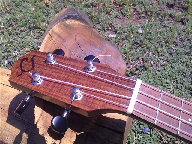 Mulga Headstock.jpg