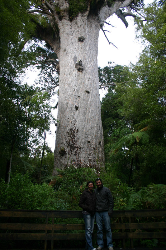 1 tane mahuta.jpg