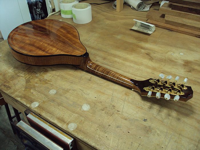 DSC02223 Maurice mandolin.jpg