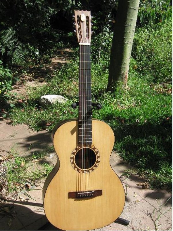 neptune guitar.JPG