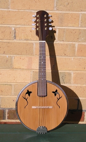 VW Mandolin finished B.jpg