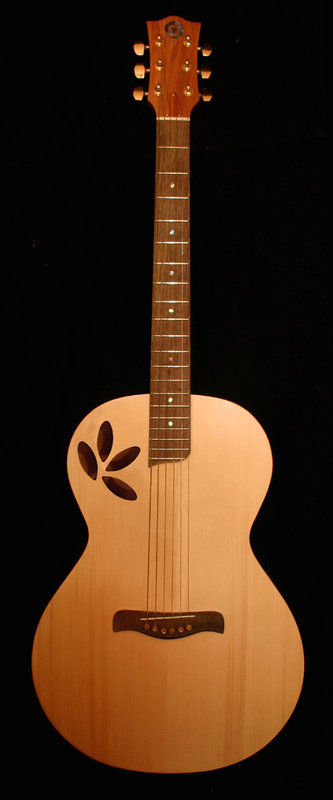 Kauri Guitar1.jpg