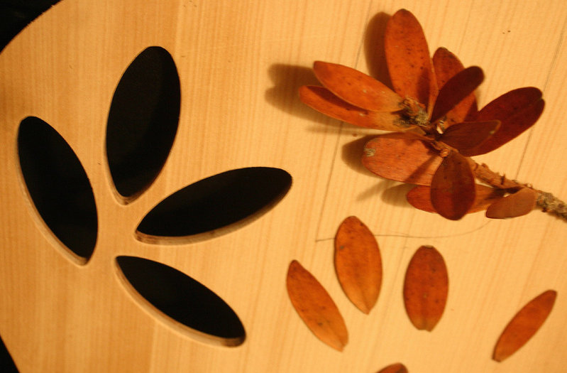 kauri leaves and kauri leaf soundholes1.jpg