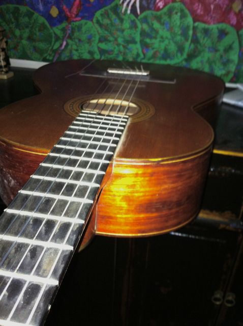 classical neck.jpg