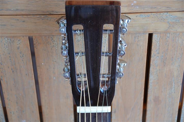 Braz6 (Small).JPG