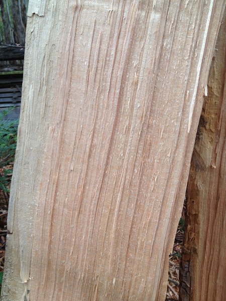 Split Billet Macrocarpa.jpg