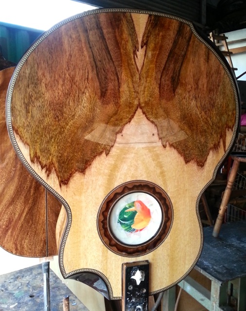 mangotree4a.jpg