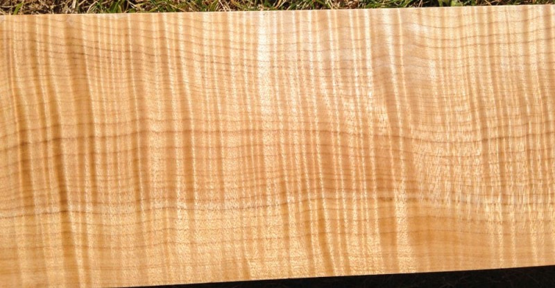 Curly Maple Billets-5.jpg