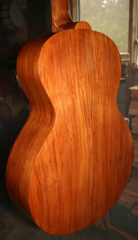 71koru.jpg